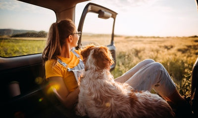 How to Plan a Dog-Friendly Road Trip: Tips and Techniques for a Memorable Adventure