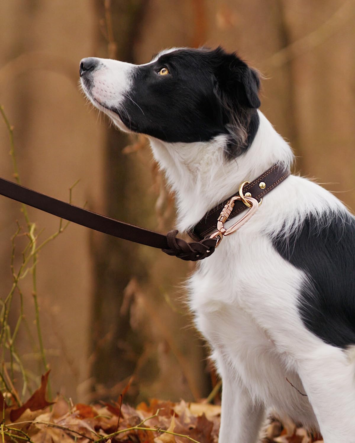 JOYTALE Genuine Leather Heavy Duty Soft and Durable Leather Collar