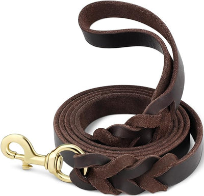 JOYTALE Leather Lead, Braided Dog Leash