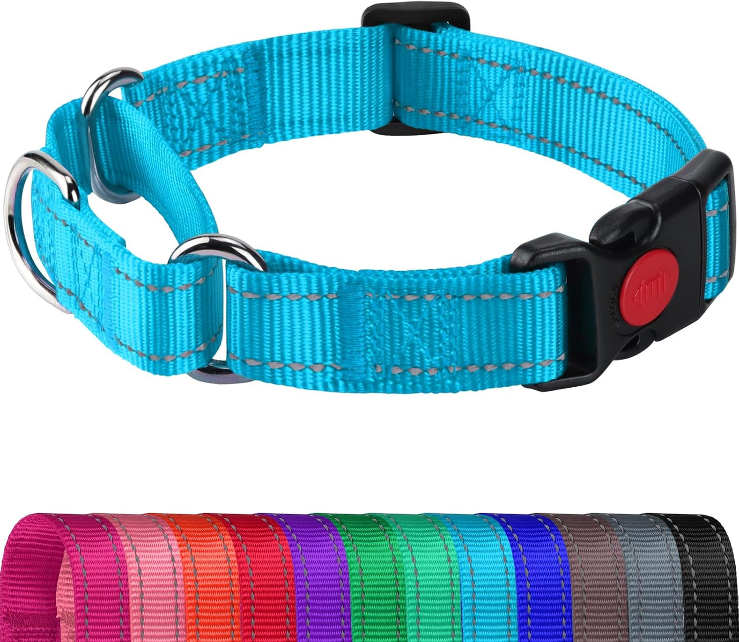Joytale Martingale Reflective Nylon Collars