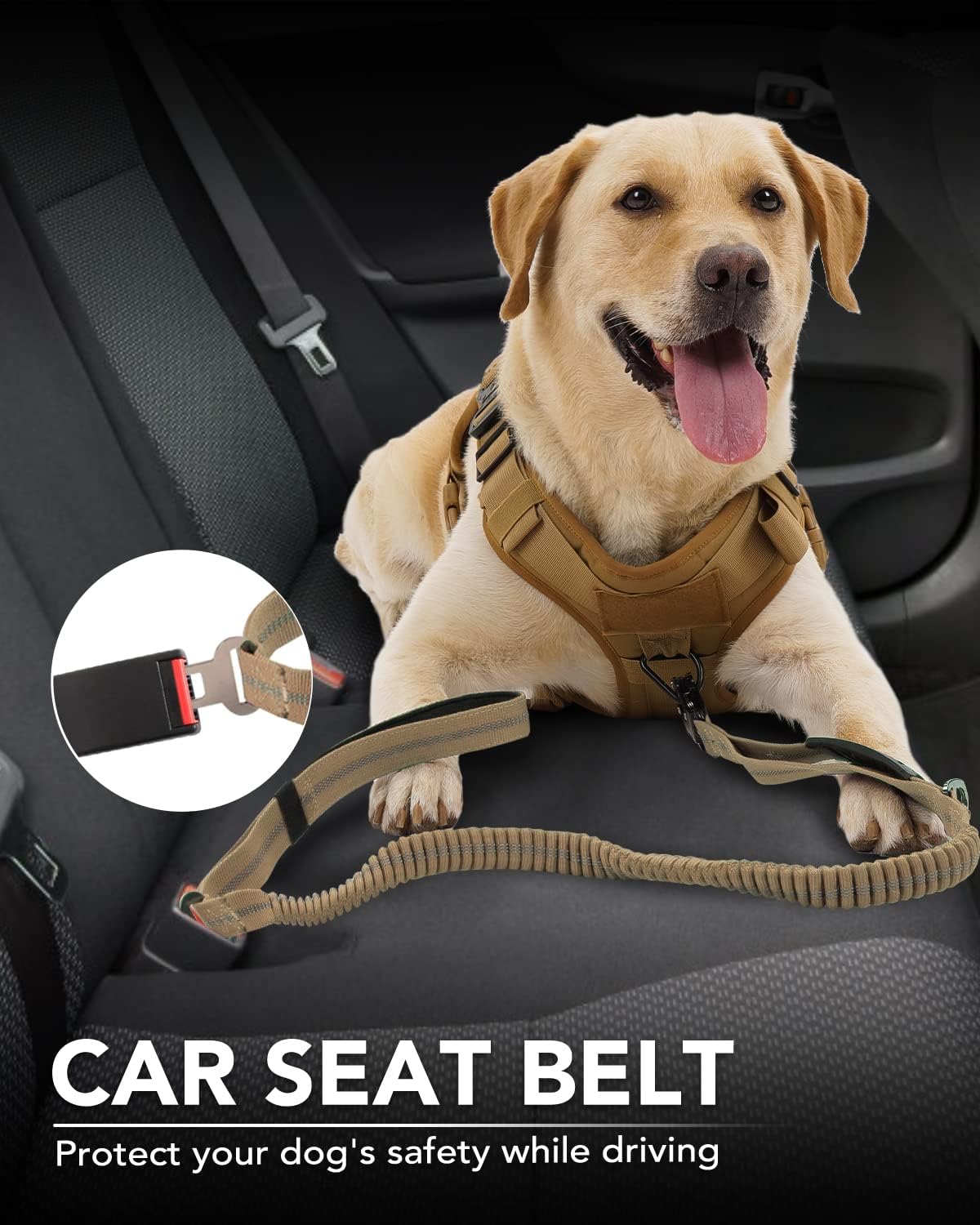 JOYTALE Shock Absorbing Bungee Heavy Duty Tactical Dog Leash with 2 Padded Handle