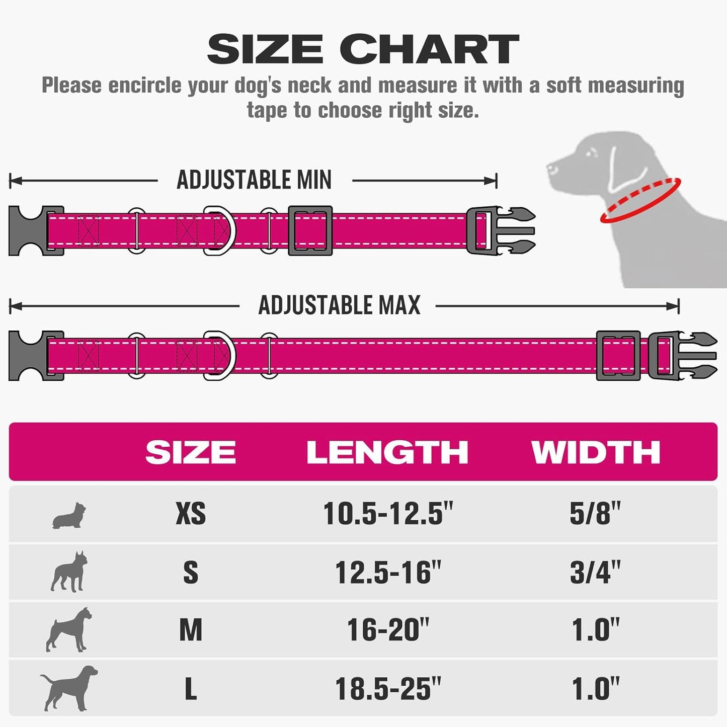 Joytale Martingale Reflective Nylon Collars