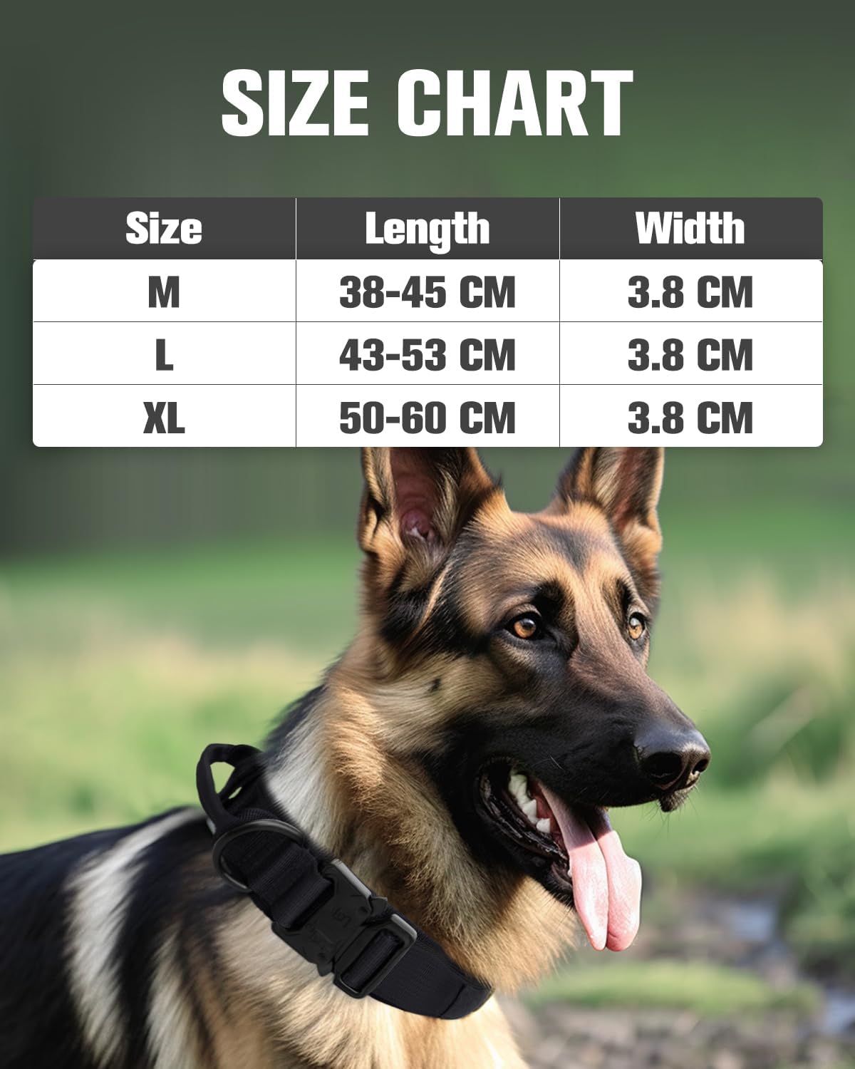 Joytale Tactical Dog Collar