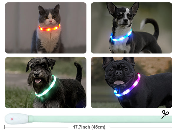Joytale Rainproof Light Up LED Rechargeable Dog Collar