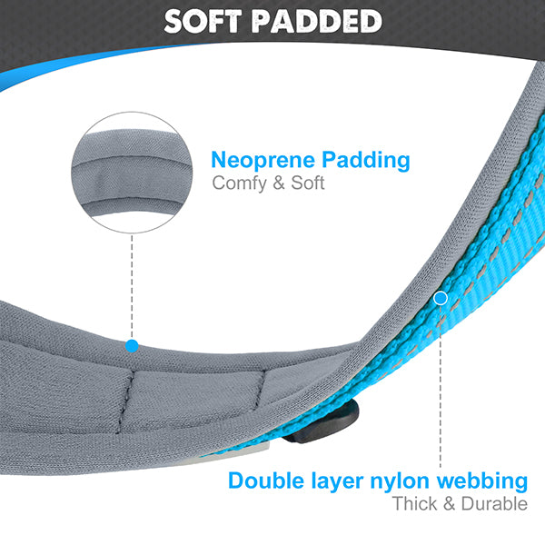 JOYTALE Heavy Duty Nylon Dog Collar