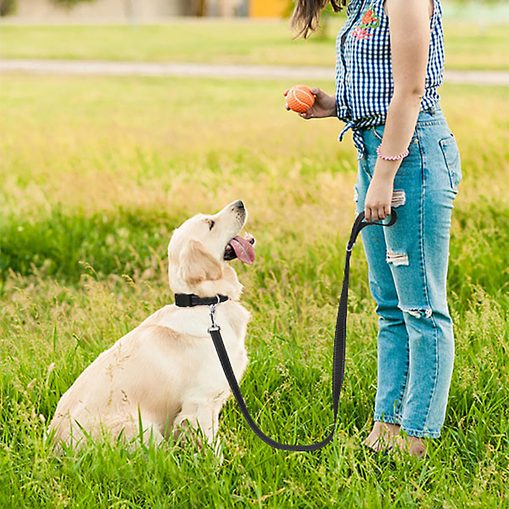 ReflectiPet™ Reflective Nylon Dog Leash