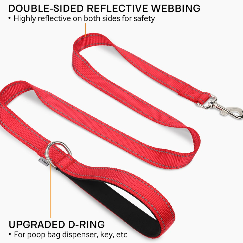 JOYTALE Reflektierende Hundeleine aus Nylon