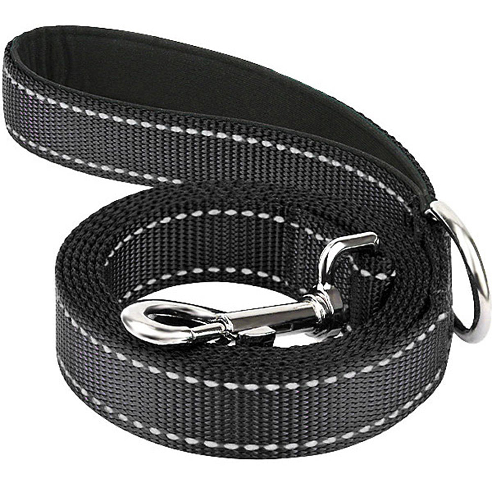 ReflectiPet™ Reflective Nylon Dog Leash