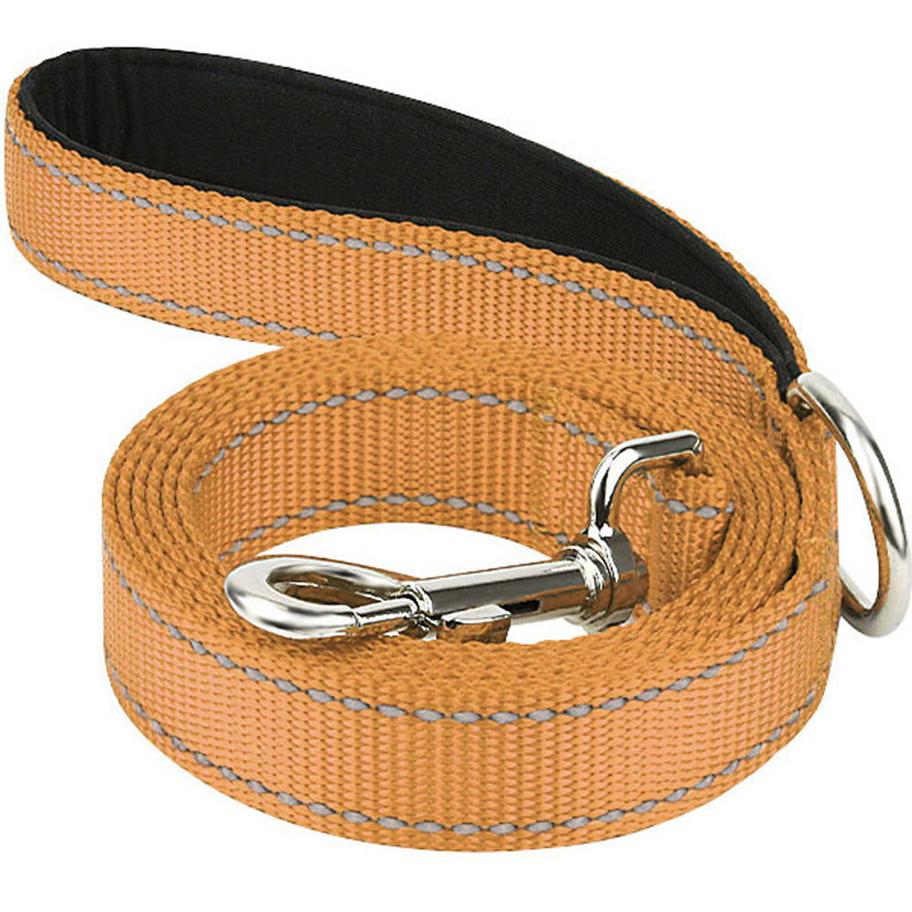 ReflectiPet™ Reflective Nylon Dog Leash