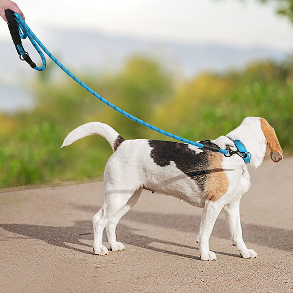 JOYTALE Heavy Duty Nylon Braided Dog Leash
