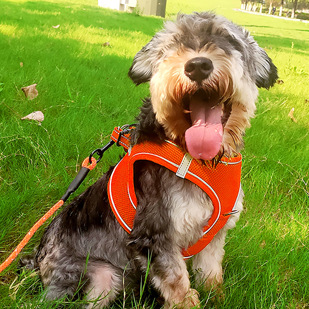 JOYTALE Dog Mesh Vest Harness