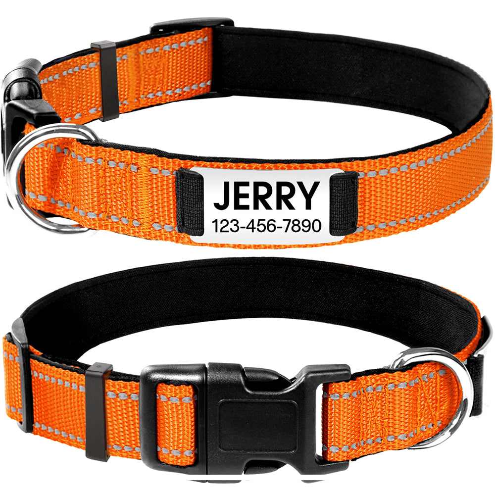 PlayfulPups™ Personalized Dog Collar