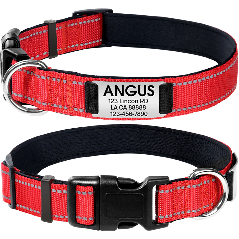 PlayfulPups™ Personalized Dog Collar