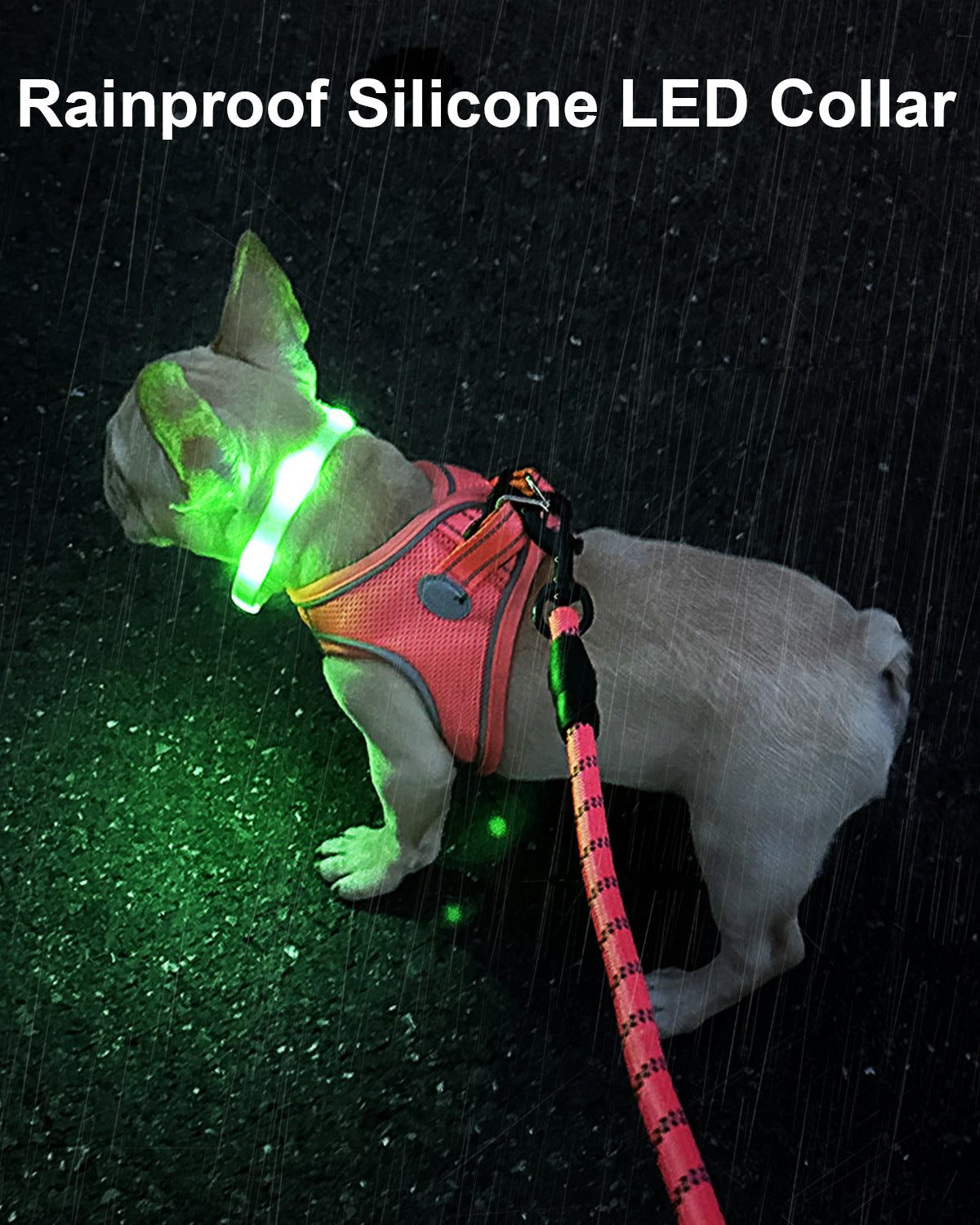 Joytale Rainproof Light Up LED Rechargeable Dog Collar
