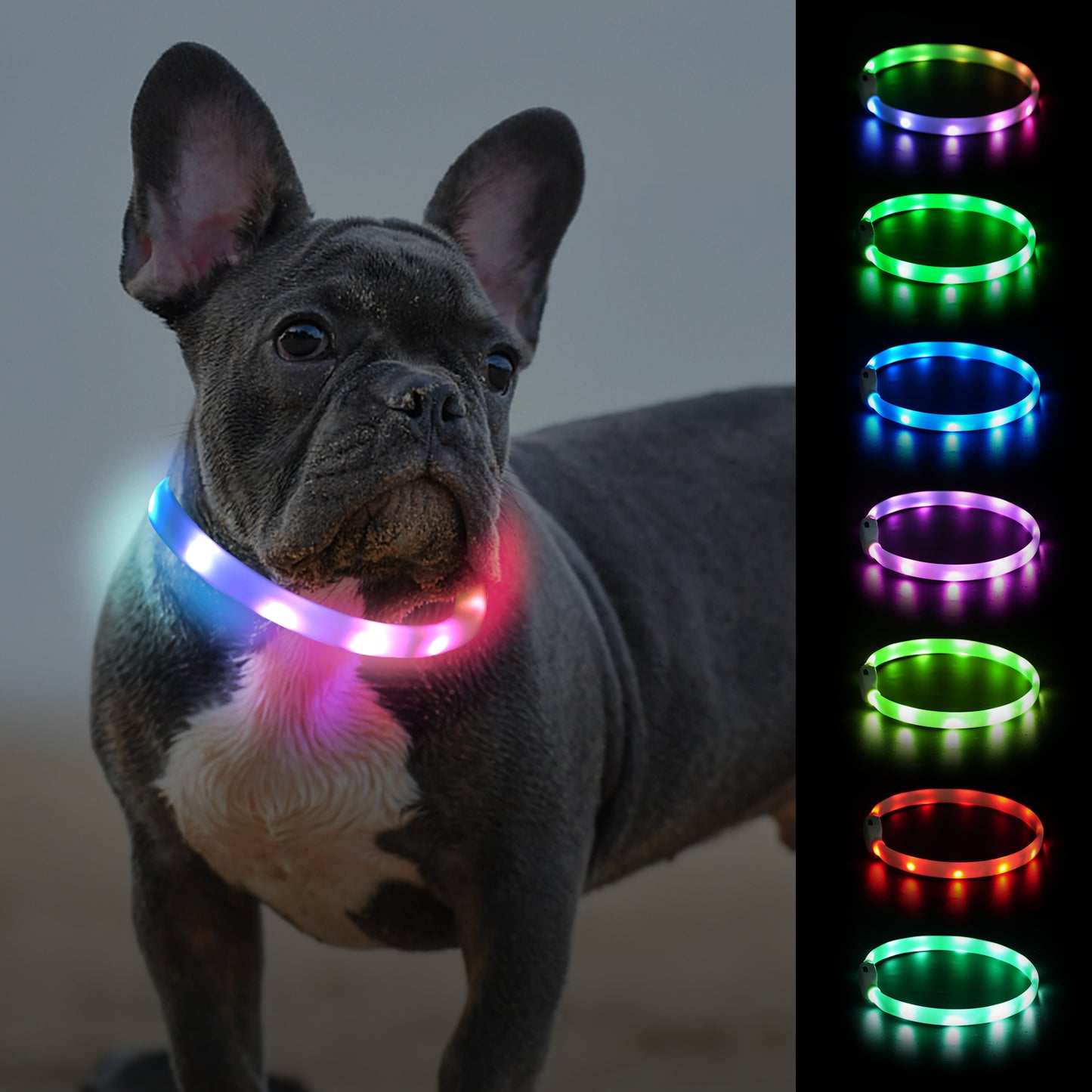Joytale Rainproof Light Up LED Rechargeable Dog Collar