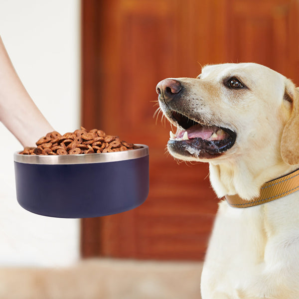 JOYTALE Pet Water Bowls,Stainless Steel Non-slip Pet Feeding and Drinking Bowls