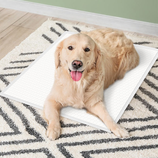 JOYTALE Disposable Dog Pee Pads