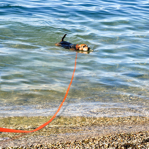JOYTALE Long Dog Leash