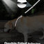 Joytale Strong Short Dog Leash