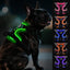 Joytale Light Up Dog Harness