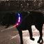 Joytale Leuchthalsband Hund, Hundehalsband Leuchtend Aufladbar