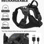 Joytale Light Up Dog Harness