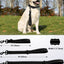 Joytale Strong Short Dog Leash