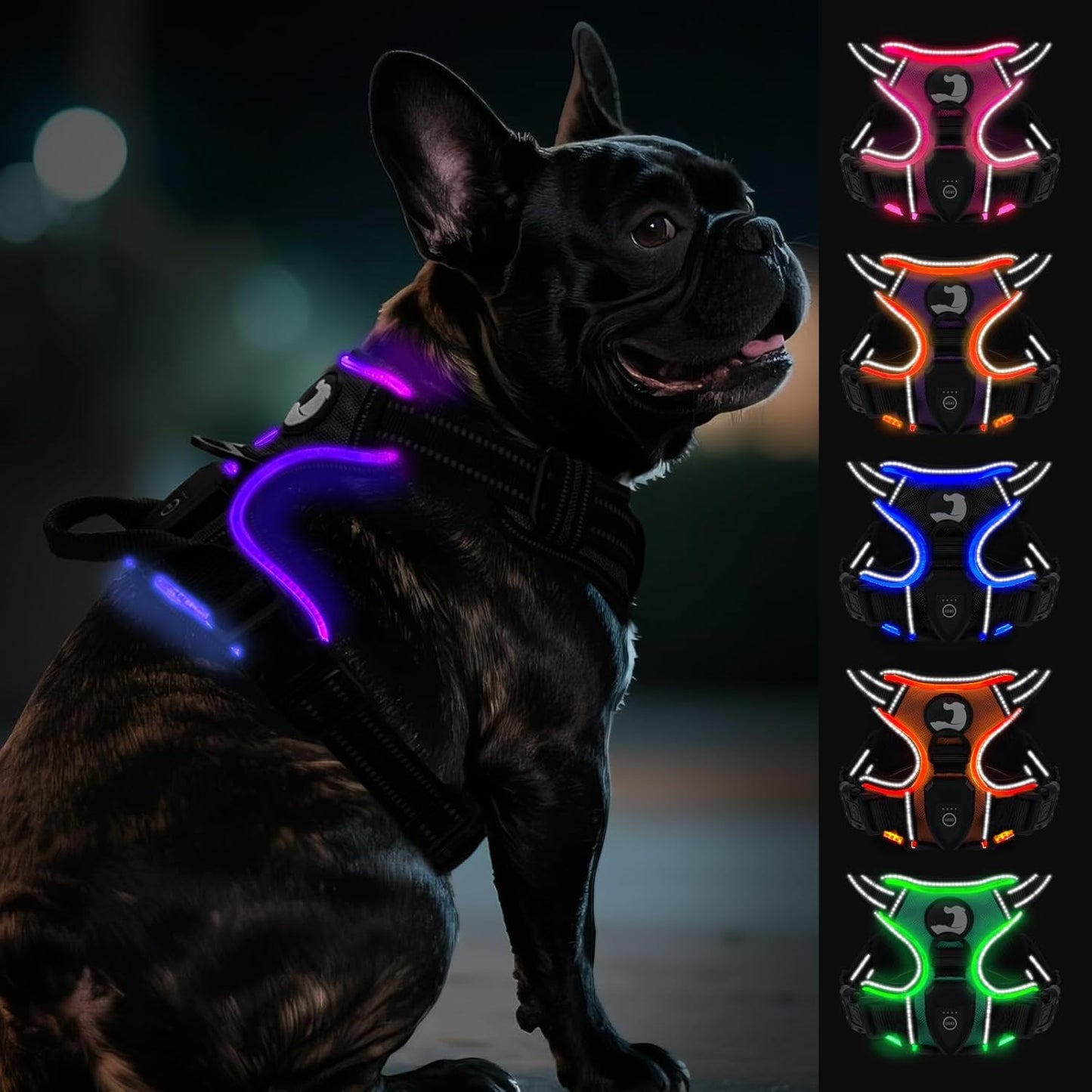 Joytale Light Up Dog Harness