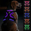 Joytale Light Up Dog Harness