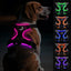 Joytale Light Up Dog Harness