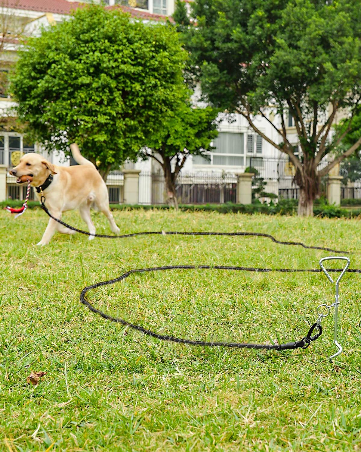 JOYTALE Double Hook Long Training Leash with Removable Padded Handle