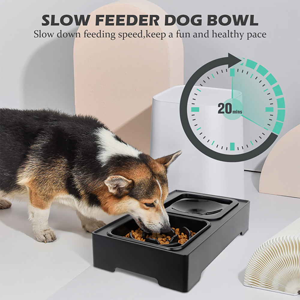 Elevated dog bowl with hotsell slow feeder