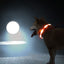 Joytale Rainproof  Light Up LED Rechargeable Dog Collar