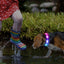 Joytale Rainproof  Light Up LED Rechargeable Dog Collar