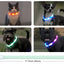 Joytale Rainproof  Light Up LED Rechargeable Dog Collar