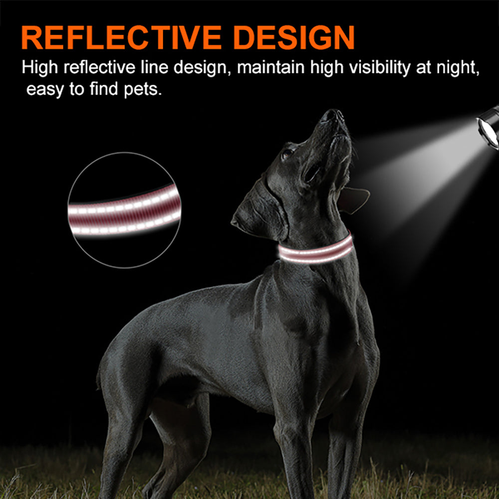 High visibility outlet dog collar