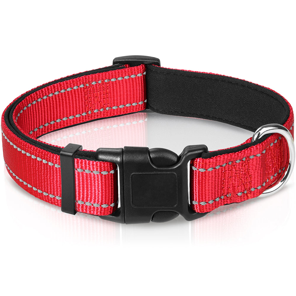 Nylon show clearance collars for dogs