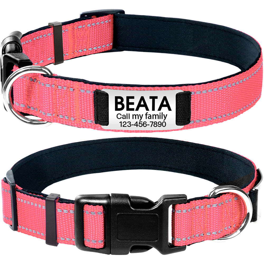 Personalized 2024 dog collar