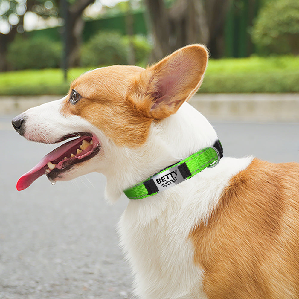 PlayfulPups™ Personalized Dog Collar