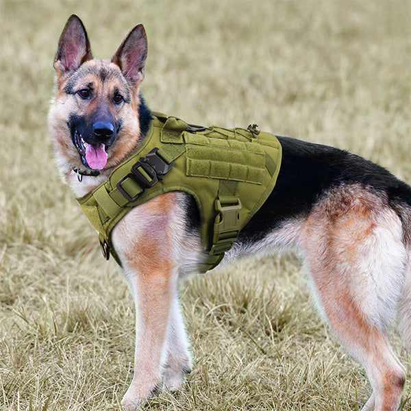 JOYTALE Tactical Dog Harness